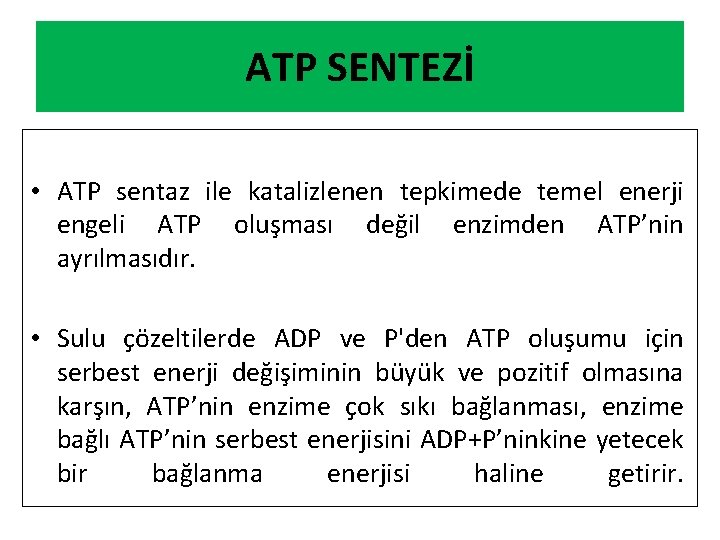 ATP SENTEZİ • ATP sentaz ile katalizlenen tepkimede temel enerji engeli ATP oluşması değil