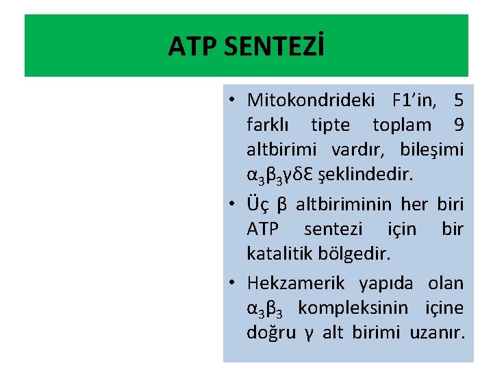 ATP SENTEZİ • Mitokondrideki F 1’in, 5 farklı tipte toplam 9 altbirimi vardır, bileşimi