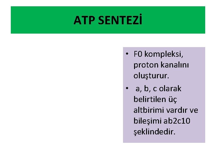 ATP SENTEZİ • F 0 kompleksi, proton kanalını oluşturur. • a, b, c olarak