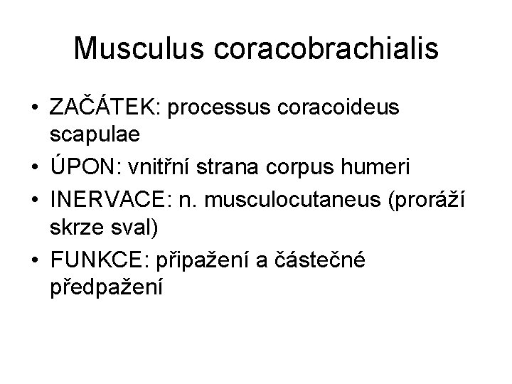 Musculus coracobrachialis • ZAČÁTEK: processus coracoideus scapulae • ÚPON: vnitřní strana corpus humeri •