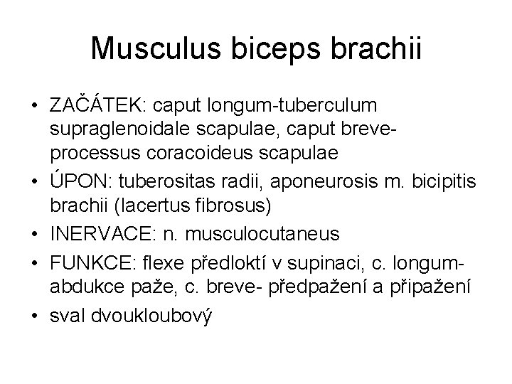 Musculus biceps brachii • ZAČÁTEK: caput longum-tuberculum supraglenoidale scapulae, caput breveprocessus coracoideus scapulae •