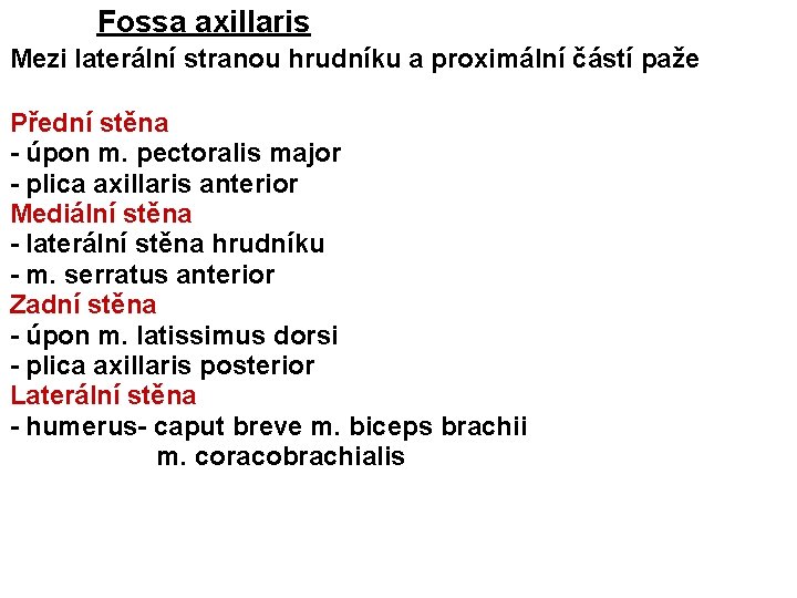 Fossa axillaris • Mezi laterální stranou hrudníku a proximální částí paže • Přední stěna