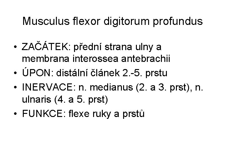 Musculus flexor digitorum profundus • ZAČÁTEK: přední strana ulny a membrana interossea antebrachii •