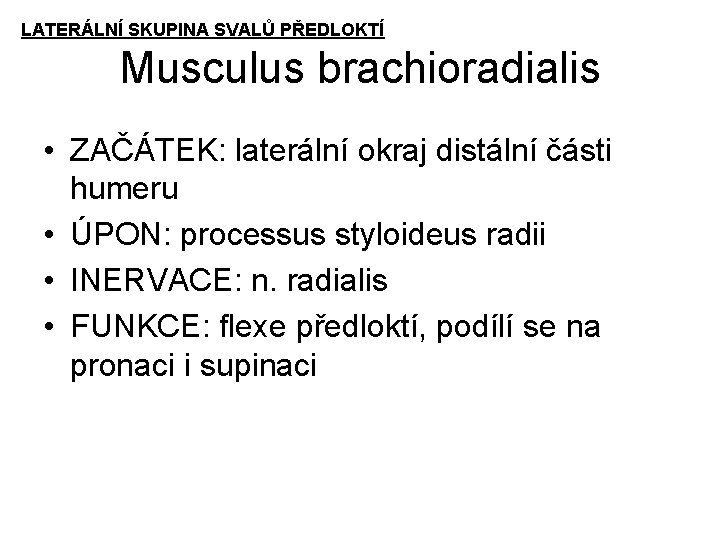 LATERÁLNÍ SKUPINA SVALŮ PŘEDLOKTÍ Musculus brachioradialis • ZAČÁTEK: laterální okraj distální části humeru •