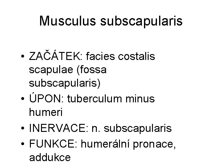 Musculus subscapularis • ZAČÁTEK: facies costalis scapulae (fossa subscapularis) • ÚPON: tuberculum minus humeri