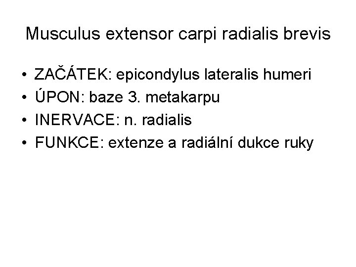 Musculus extensor carpi radialis brevis • • ZAČÁTEK: epicondylus lateralis humeri ÚPON: baze 3.