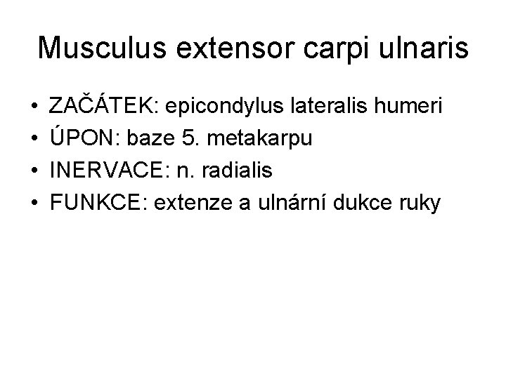 Musculus extensor carpi ulnaris • • ZAČÁTEK: epicondylus lateralis humeri ÚPON: baze 5. metakarpu