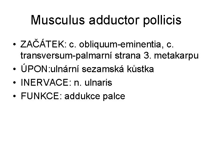 Musculus adductor pollicis • ZAČÁTEK: c. obliquum-eminentia, c. transversum-palmarní strana 3. metakarpu • ÚPON: