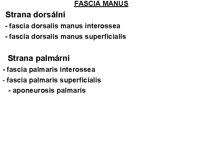 FASCIA MANUS • Strana dorsální -- fascia dorsalis manus interossea -- fascia dorsalis manus