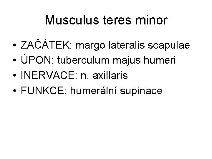 Musculus teres minor • • ZAČÁTEK: margo lateralis scapulae ÚPON: tuberculum majus humeri INERVACE: