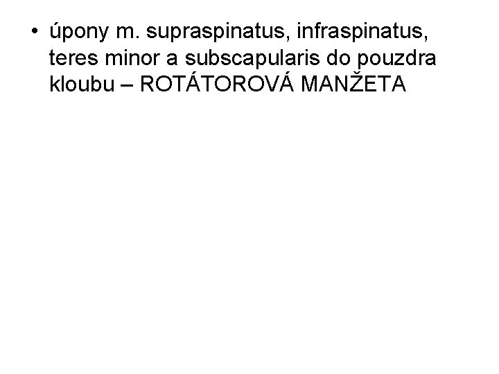  • úpony m. supraspinatus, infraspinatus, teres minor a subscapularis do pouzdra kloubu –