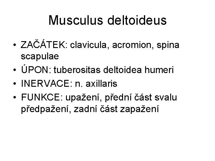 Musculus deltoideus • ZAČÁTEK: clavicula, acromion, spina scapulae • ÚPON: tuberositas deltoidea humeri •