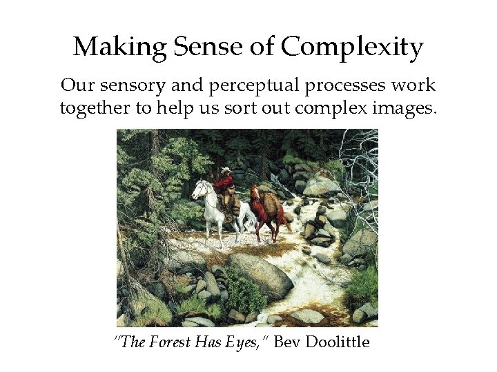 Making Sense of Complexity Our sensory and perceptual processes work together to help us
