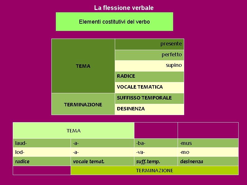 La flessione verbale Elementi costitutivi del verbo presente perfetto supino TEMA RADICE VOCALE TEMATICA