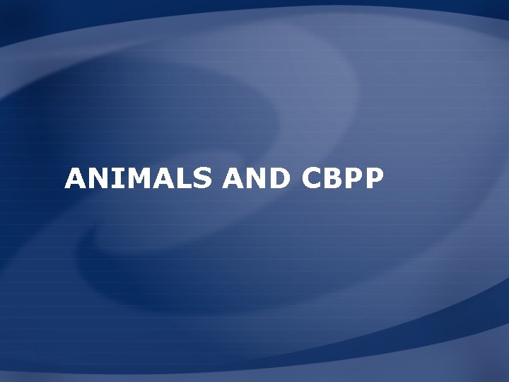 ANIMALS AND CBPP 