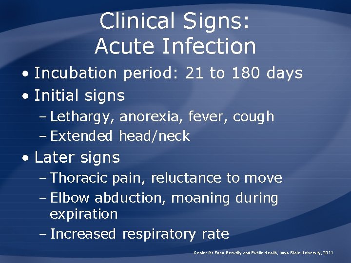 Clinical Signs: Acute Infection • Incubation period: 21 to 180 days • Initial signs