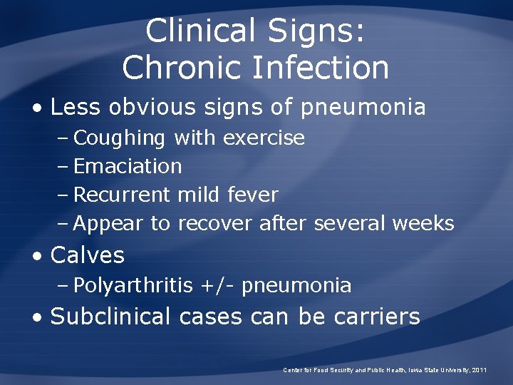 Clinical Signs: Chronic Infection • Less obvious signs of pneumonia – Coughing with exercise