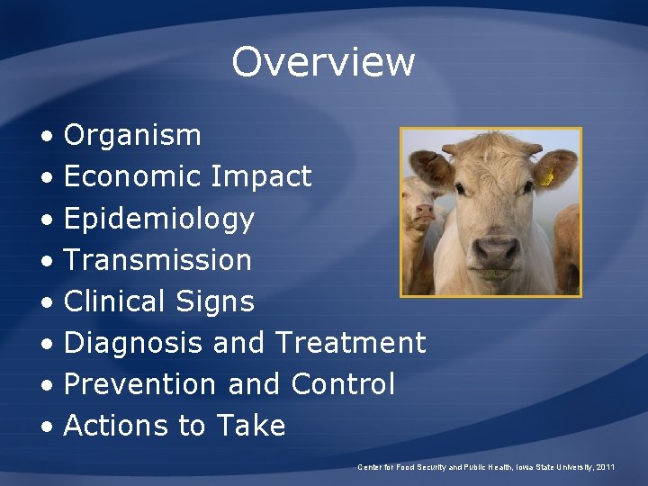 Overview • Organism • Economic Impact • Epidemiology • Transmission • Clinical Signs •