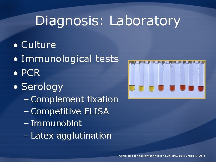 Diagnosis: Laboratory • Culture • Immunological tests • PCR • Serology – Complement fixation