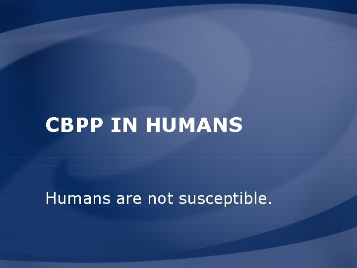 CBPP IN HUMANS Humans are not susceptible. 