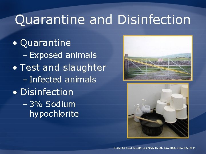 Quarantine and Disinfection • Quarantine – Exposed animals • Test and slaughter – Infected