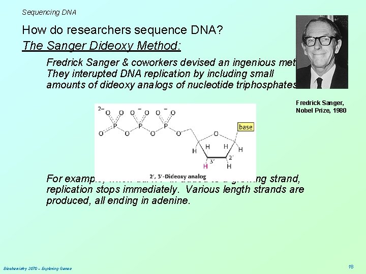 Sequencing DNA How do researchers sequence DNA? The Sanger Dideoxy Method: Fredrick Sanger &