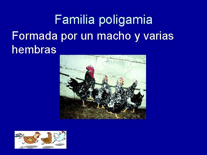 Familia poligamia Formada por un macho y varias hembras 