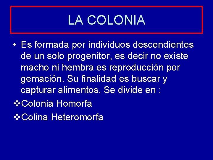 LA COLONIA • Es formada por individuos descendientes de un solo progenitor, es decir