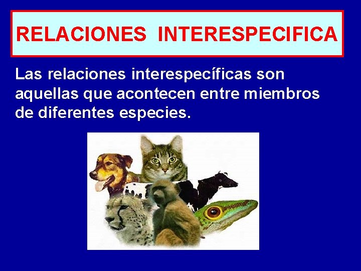 RELACIONES INTERESPECIFICA Las relaciones interespecíficas son aquellas que acontecen entre miembros de diferentes especies.