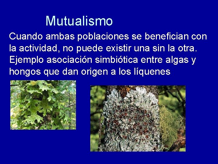 Mutualismo Cuando ambas poblaciones se benefician con la actividad, no puede existir una sin