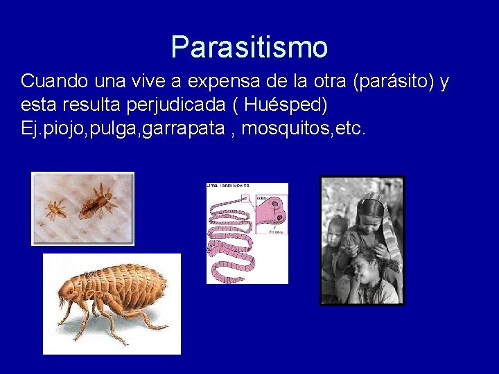 Parasitismo Cuando una vive a expensa de la otra (parásito) y esta resulta perjudicada