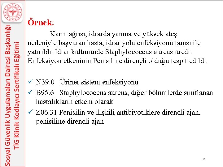 Örnek: Karın ağrısı, idrarda yanma ve yüksek ateş nedeniyle başvuran hasta, idrar yolu enfeksiyonu