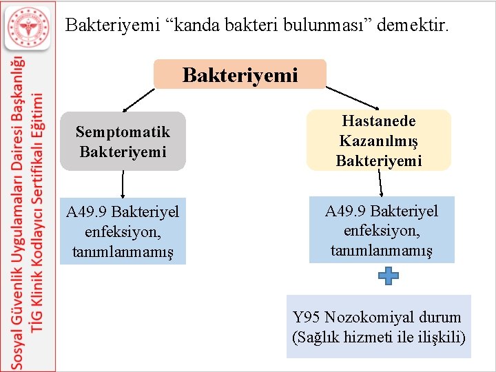 Bakteriyemi “kanda bakteri bulunması” demektir. Bakteriyemi Semptomatik Bakteriyemi A 49. 9 Bakteriyel enfeksiyon, tanımlanmamış