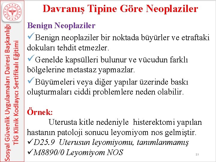 Davranış Tipine Göre Neoplaziler Benign Neoplaziler üBenign neoplaziler bir noktada büyürler ve etraftaki dokuları