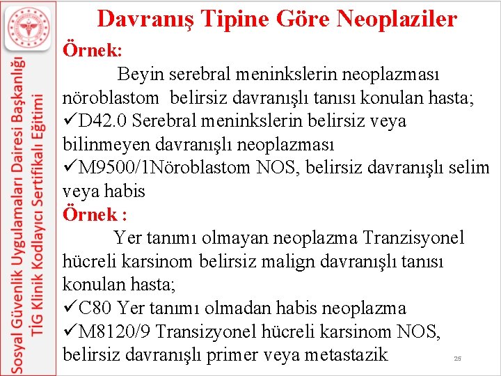 Davranış Tipine Göre Neoplaziler Örnek: Beyin serebral meninkslerin neoplazması nöroblastom belirsiz davranışlı tanısı konulan