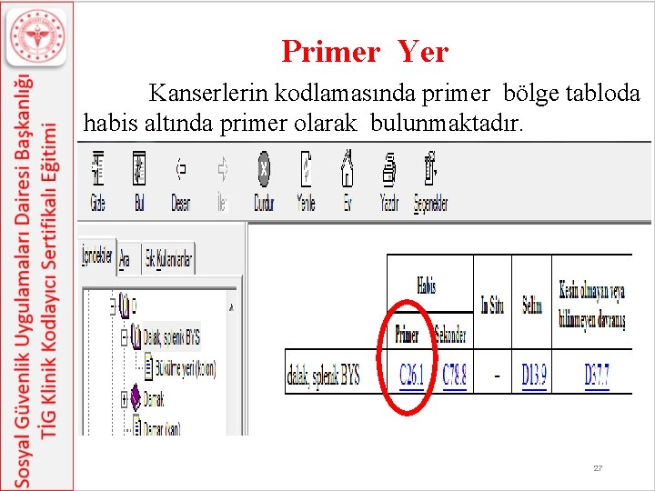 Primer Yer Kanserlerin kodlamasında primer bölge tabloda habis altında primer olarak bulunmaktadır. 27 