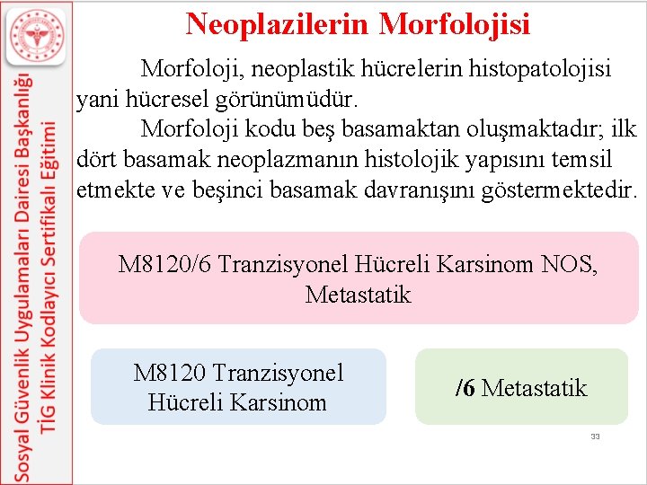 Neoplazilerin Morfolojisi Morfoloji, neoplastik hücrelerin histopatolojisi yani hücresel görünümüdür. Morfoloji kodu beş basamaktan oluşmaktadır;