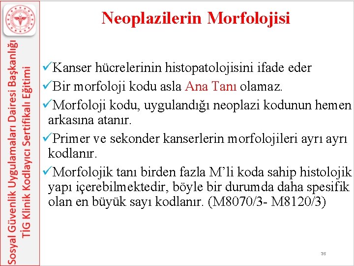 Neoplazilerin Morfolojisi üKanser hücrelerinin histopatolojisini ifade eder üBir morfoloji kodu asla Ana Tanı olamaz.