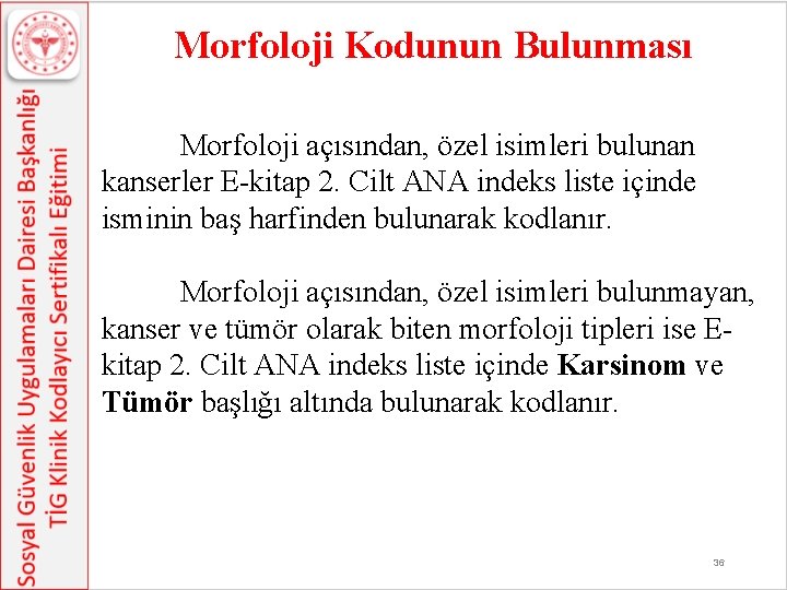 Morfoloji Kodunun Bulunması Morfoloji açısından, özel isimleri bulunan kanserler E-kitap 2. Cilt ANA indeks