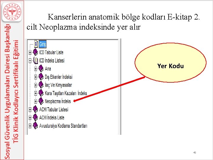 Kanserlerin anatomik bölge kodları E-kitap 2. cilt Neoplazma indeksinde yer alır Yer Kodu 40