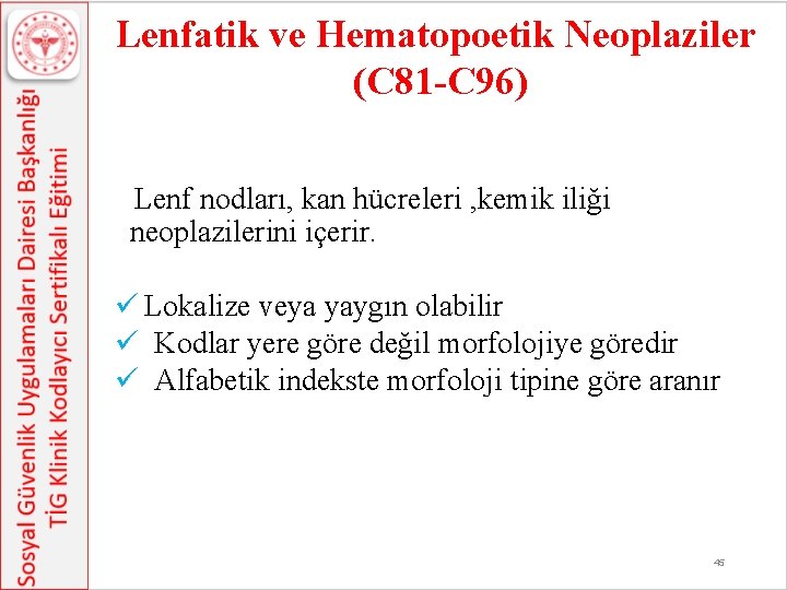 Lenfatik ve Hematopoetik Neoplaziler (C 81 -C 96) Lenf nodları, kan hücreleri , kemik