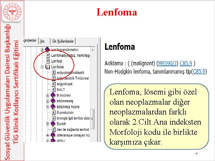 Lenfoma, lösemi gibi özel olan neoplazmalar diğer neoplazmalardan farklı olarak 2. Cilt Ana indeksten