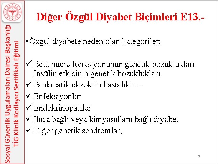 Diğer Özgül Diyabet Biçimleri E 13. • Özgül diyabete neden olan kategoriler; ü Beta