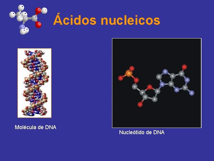 Ácidos nucleicos Molécula de DNA Nucleótido de DNA 