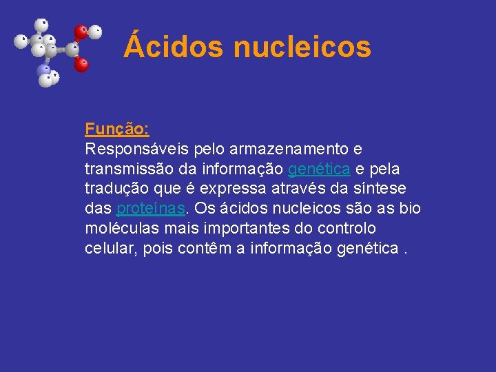Ácidos nucleicos Função: Responsáveis pelo armazenamento e transmissão da informação genética e pela tradução