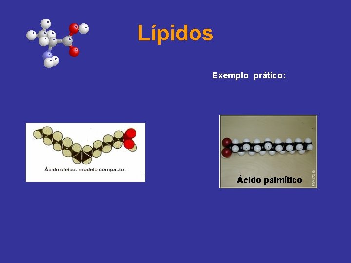 Lípidos Exemplo prático: Ácido palmítico 