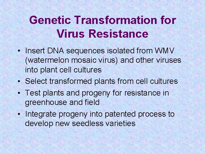 Genetic Transformation for Virus Resistance • Insert DNA sequences isolated from WMV (watermelon mosaic