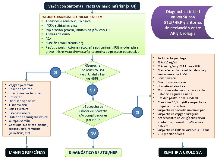 Varón con Síntomas Tracto Urinario Inferior (STUI) Diagnóstico inicial en varón con STUI/HBP y