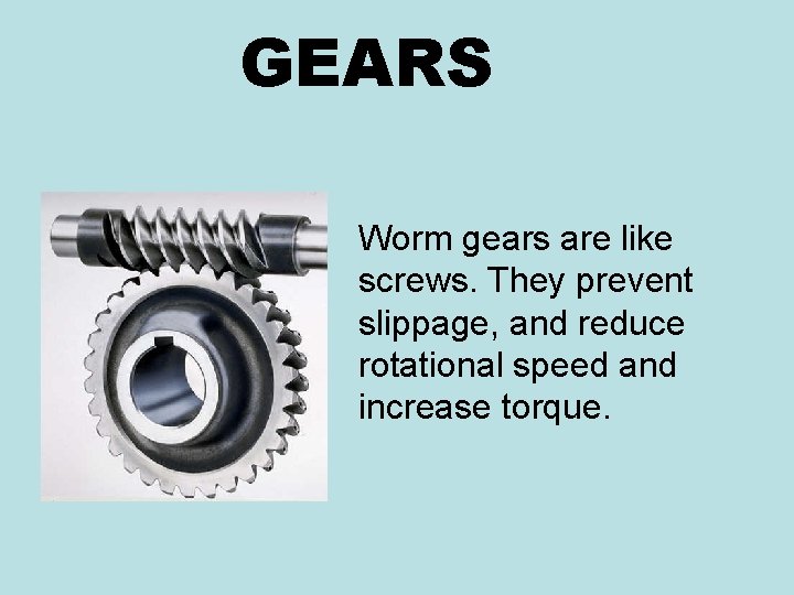 GEARS Worm gears are like screws. They prevent slippage, and reduce rotational speed and