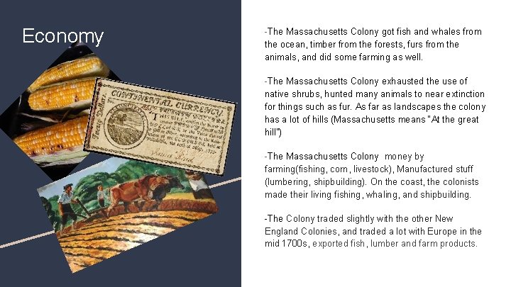 Economy -The Massachusetts Colony got fish and whales from the ocean, timber from the